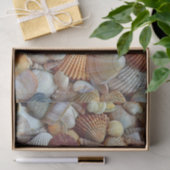 Zeeschelpen Tissuepapier (Geschenk)