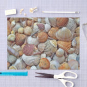 Zeeschelpen Tissuepapier (Craft)