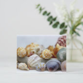 Zeeschelpen van het Seashore Briefkaart (Staand voorkant)
