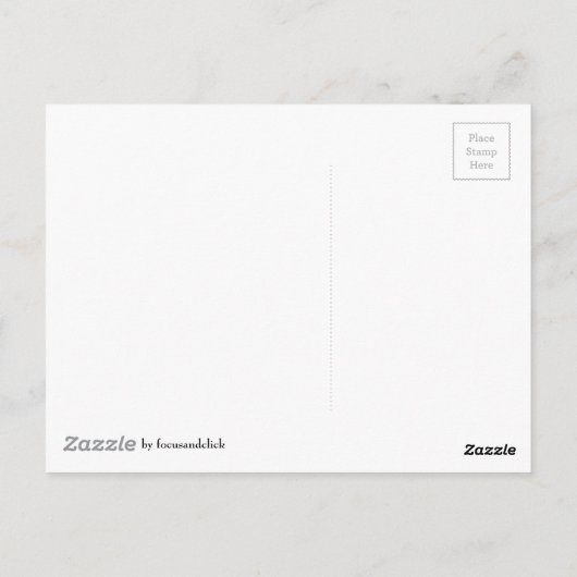 Zeeschelpen van het Seashore Briefkaart (Achterkant)