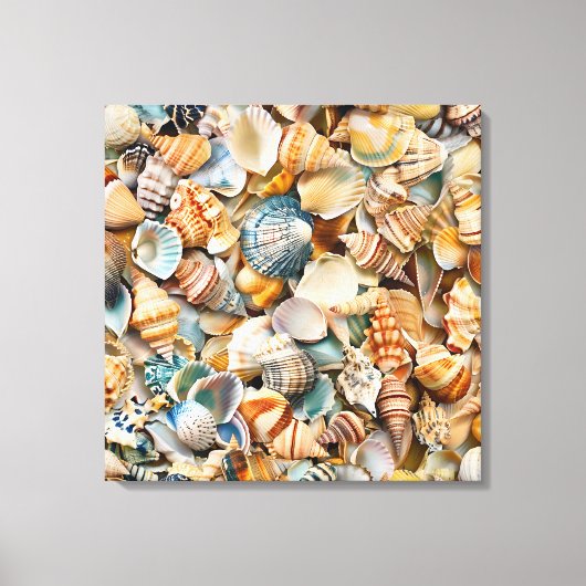Zeeschelpen Verpakte Canvas Art Afdruk (Voorkant)