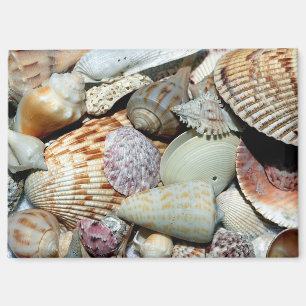 Zeeschelpen verzameld van strand Sanibel Island Fl Magneet