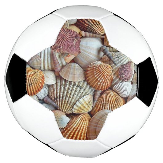Zeeschelpen Voetbal (Gedraaid)