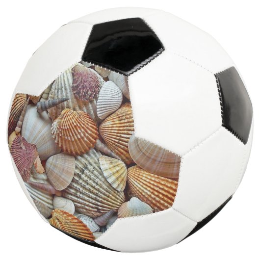 Zeeschelpen Voetbal (Drie kwart)