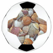 Zeeschelpen Voetbal (Voorkant)