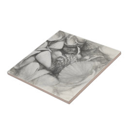 Zeeschelpen voor de Noordzee,  Antiek Tegeltje