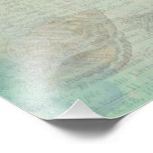  zeeschelpen, zeegarvis en SeaHorse Foto Afdruk (Hoek)