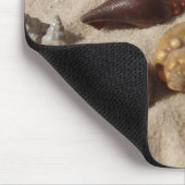 Zeeschelpen, zeeschelpen muismat (Hoek)