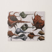 zeeschelpen, zeewier, zeewier, zeeschelpdieren legpuzzel (Horizontaal)