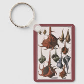 zeeschelpen, zeewier, zeewier, zeeschelpdieren sleutelhanger (Voorkant)