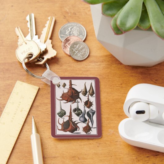 zeeschelpen, zeewier, zeewier, zeeschelpdieren sleutelhanger (Bureau)