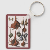 zeeschelpen, zeewier, zeewier, zeeschelpdieren sleutelhanger (Achterkant)