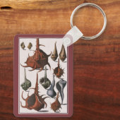  zeeschelpen, zeewier, zeewier, zeeschelpdieren sleutelhanger (Achterkant)