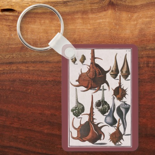  zeeschelpen, zeewier, zeewier, zeeschelpdieren sleutelhanger (Voorkant)