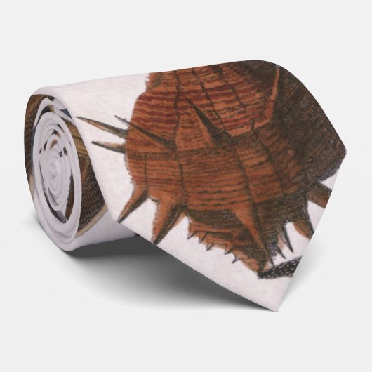  zeeschelpen, zeewier, zeewier, zeeschelpdieren stropdas (Opgerold)