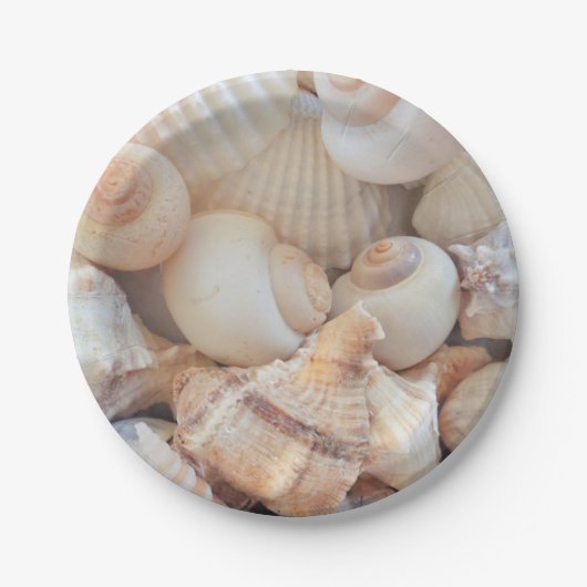 Zeeschelzucht, zomerstrand picknick, papieren Bord (Voorkant)