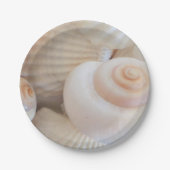 Zeeschelzucht, zomerstrand picknick, papieren Bord (Voorkant)