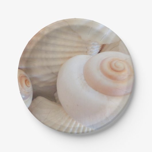 Zeeschelzucht, zomerstrand picknick, papieren Bord (Voorkant)