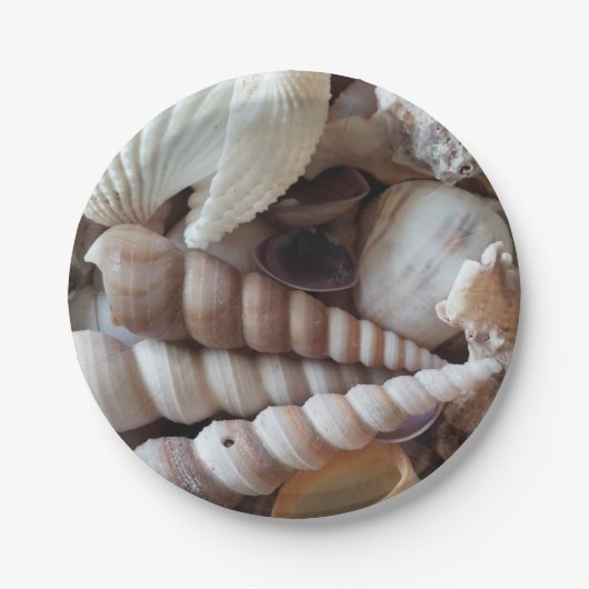 Zeeschelzucht, zomerstrand picknick, papieren Bord (Voorkant)