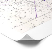  zeeschema Tampa Bay Poster (Hoek)