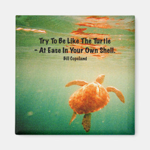 Zeeschildpad 2 inch vierkante magneet