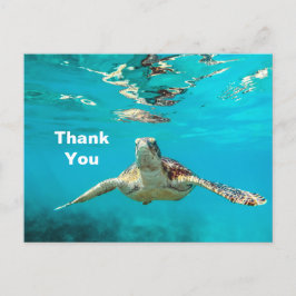 Zeeschildpad Bedankt Briefkaart