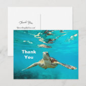 Zeeschildpad Bedankt Briefkaart (Voorkant / Achterkant)