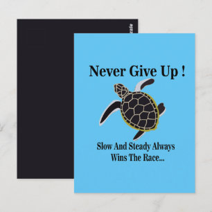 Zeeschildpad Geeft Nooit Op Briefkaart