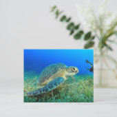 Zeeschildpad in de Oceaan Briefkaart (Staand voorkant)