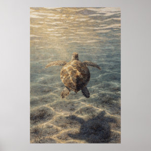 Zeeschildpad in helder blauw water poster