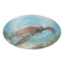 Zeeschildpad in Oceaandraaikolk