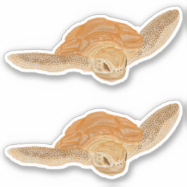 Zeeschildpad in water - transparant. sticker