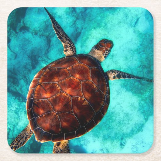 Zeeschildpad Kartonnen Onderzetters (Voorkant)