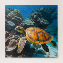 Zeeschildpad Koraalrif Onderwater