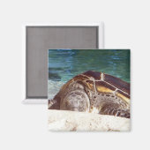 Zeeschildpad Kunst Koelkastmagneet Magneet (Voorkant / Achterkant)