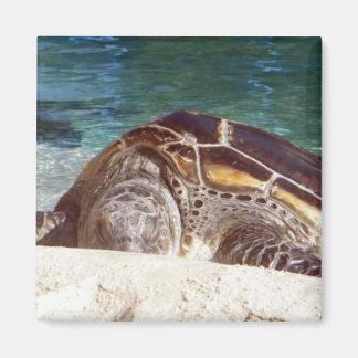 Zeeschildpad Kunst Koelkastmagneet Magneet