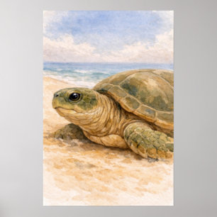 Zeeschildpad Oceaanstrand Poster