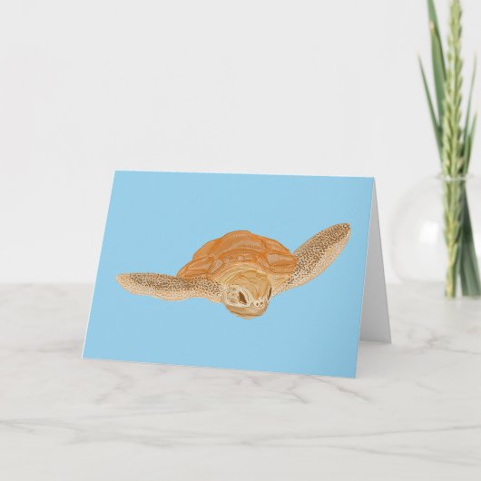 Zeeschildpad onder water - transparant.   kaart (Voorkant)