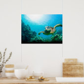 Zeeschildpad Poster (Keuken)