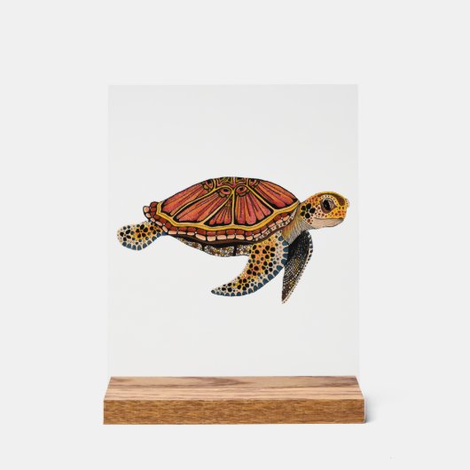 Zeeschildpad Totem Dier Acryl Bord (Voorkant)