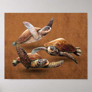 Zeeschildpadden Dieren Uitsterven Red De Schildpad Poster