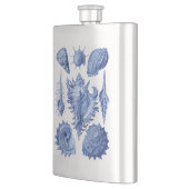 zeeschols blauw heupfles (Links)