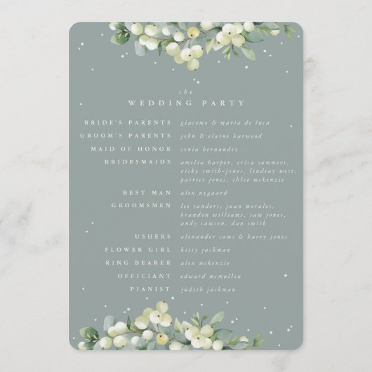 Zeeschuim Groene Snowberry + Eucalyptus Winter Bru Programmakaart (Achterkant)