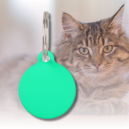 Zeeschuim Groene Stevige Kleur | Klassiek | Elegan Huisdierpenning