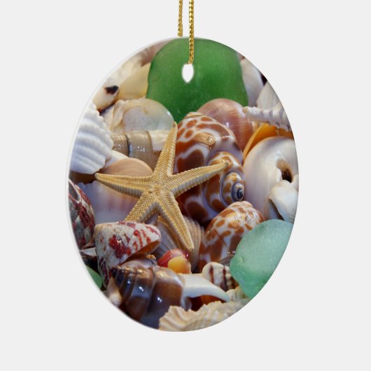 Zeeshellen, zeefvis en doorsnee Ornament (Rechts)