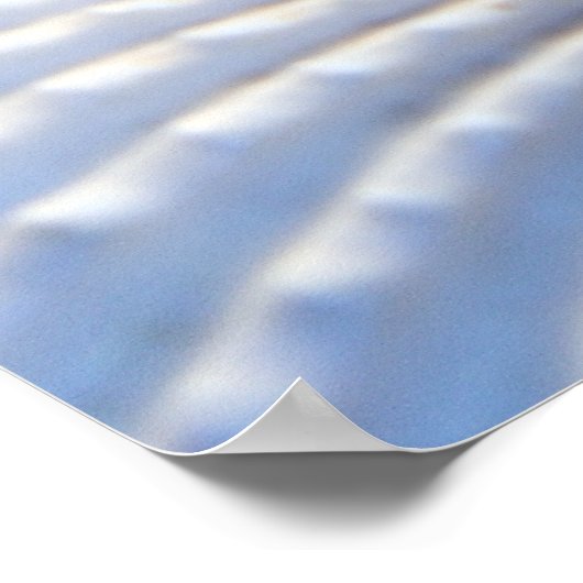 Zeeshellen, zeefvis en doorsnee Poster (Hoek)