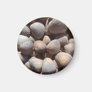 Zeeshells Beach, Summer Holiday Magnet