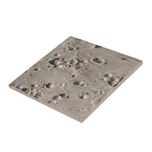 Zeeshells in de Wet Sand Tegeltje (Zijkant)