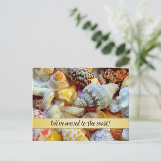  Zeeshells kust — Aankondiging nieuw adres Briefkaart (Staand voorkant)