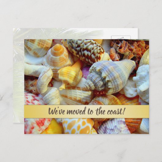 Zeeshells kust — Aankondiging nieuw adres Briefkaart (Voorkant / Achterkant)